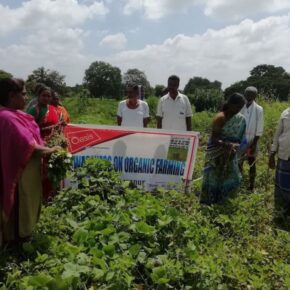 Feb-inclusion-website OF